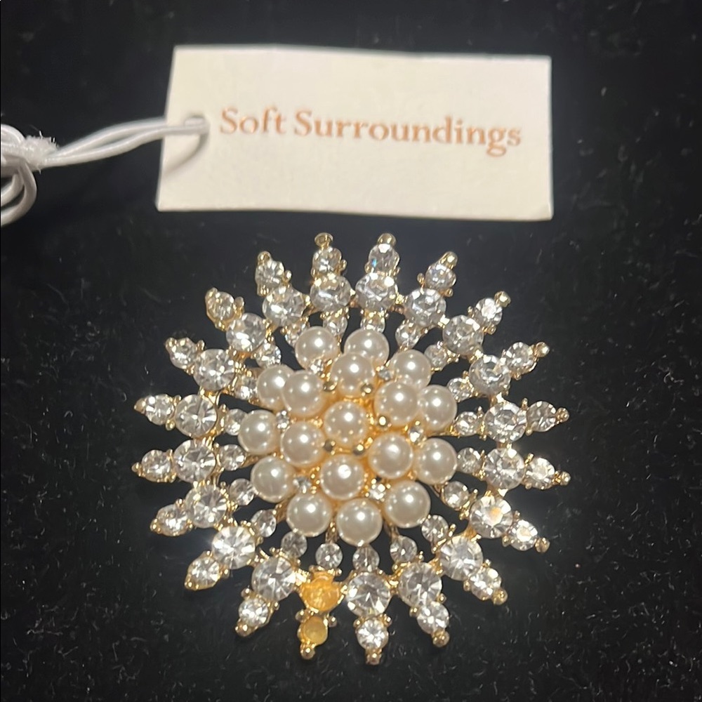 Soft Surroundings Gold and Silver Brooch